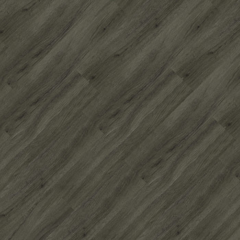 9347603 - Andiroba.jpg