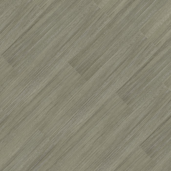 9345731 - Tâmara.jpg