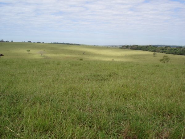 Fazendão 1.200 alqueires 006.jpg