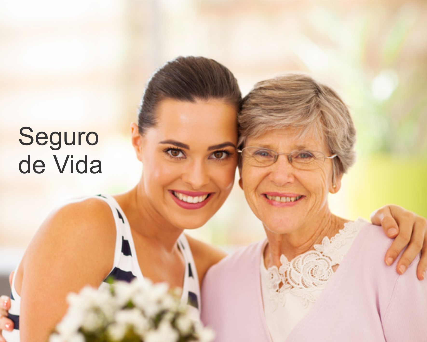 Cotação de Seguro de Vida online