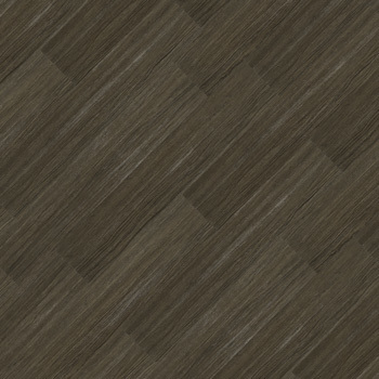 9347667 - Eucalipto.jpg