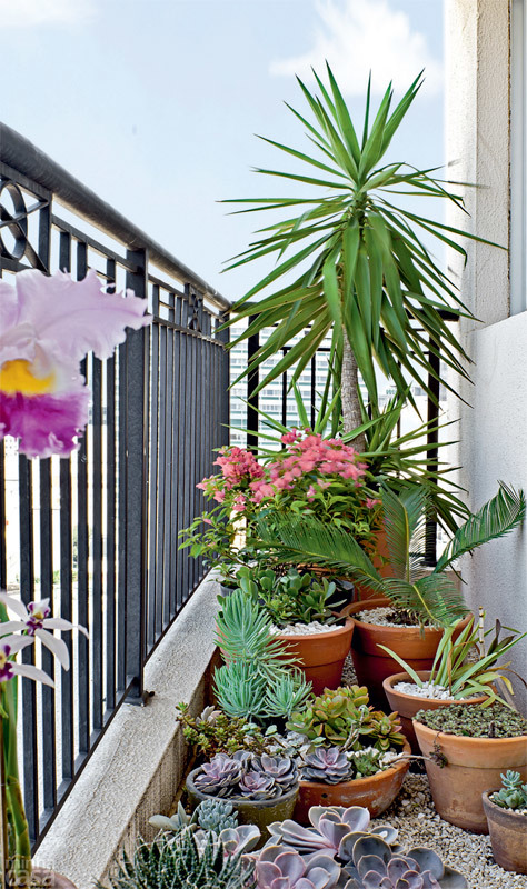 Elvira Monteiro Residencial - Projeto EM 63m (1).jpg