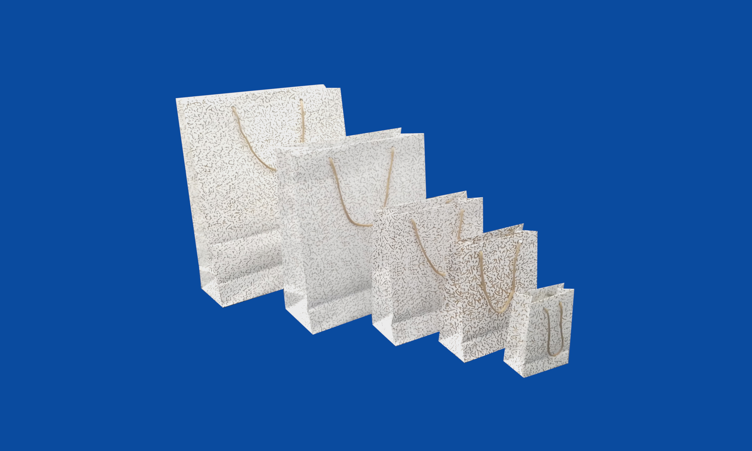 Conjunto Bolsa Boutique Plastificada Rajada Ouro com fundo Branco.jpg