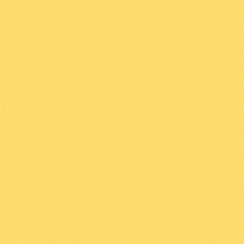 5337213 - Yellow.jpg