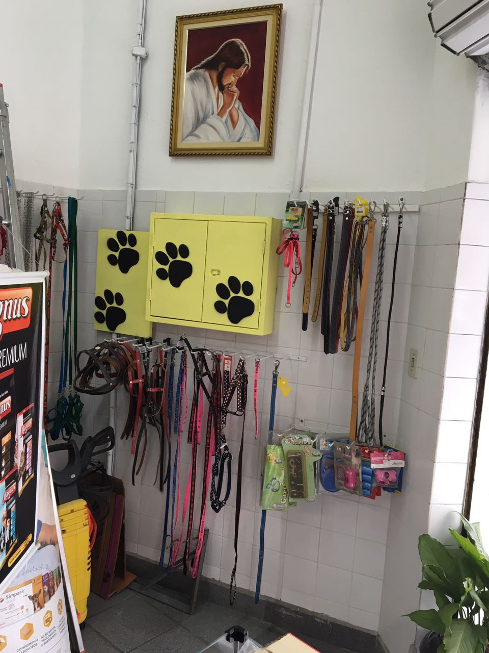 WhatsApp Image 2017-07-17 at 11.09.34.jpeg