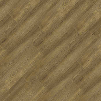 24021721 - Castanheira.jpg