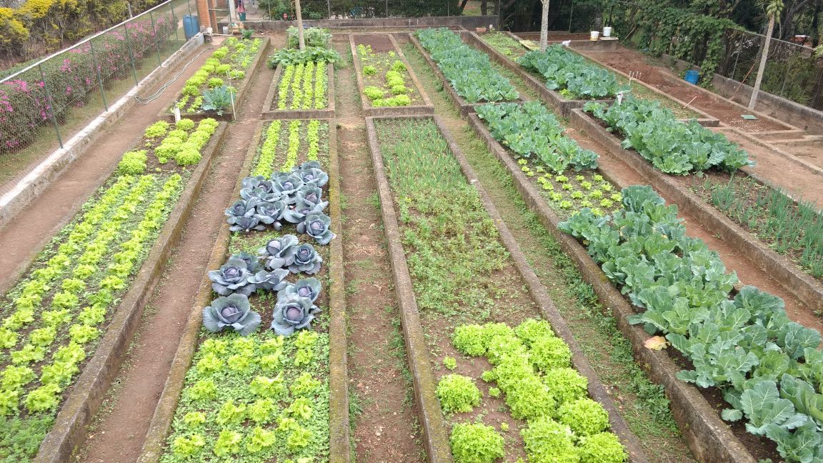 WhatsApp Image 2017-09-14 at 14.07.41.jpeg