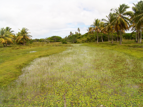 KARA JOSÉ_DSC05332.JPG