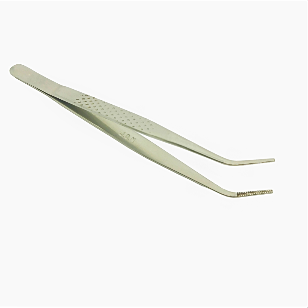 Pinca Perry infantil JON.jpg