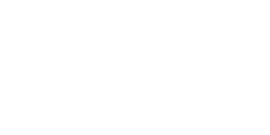 LEANDRO SUETSUGU