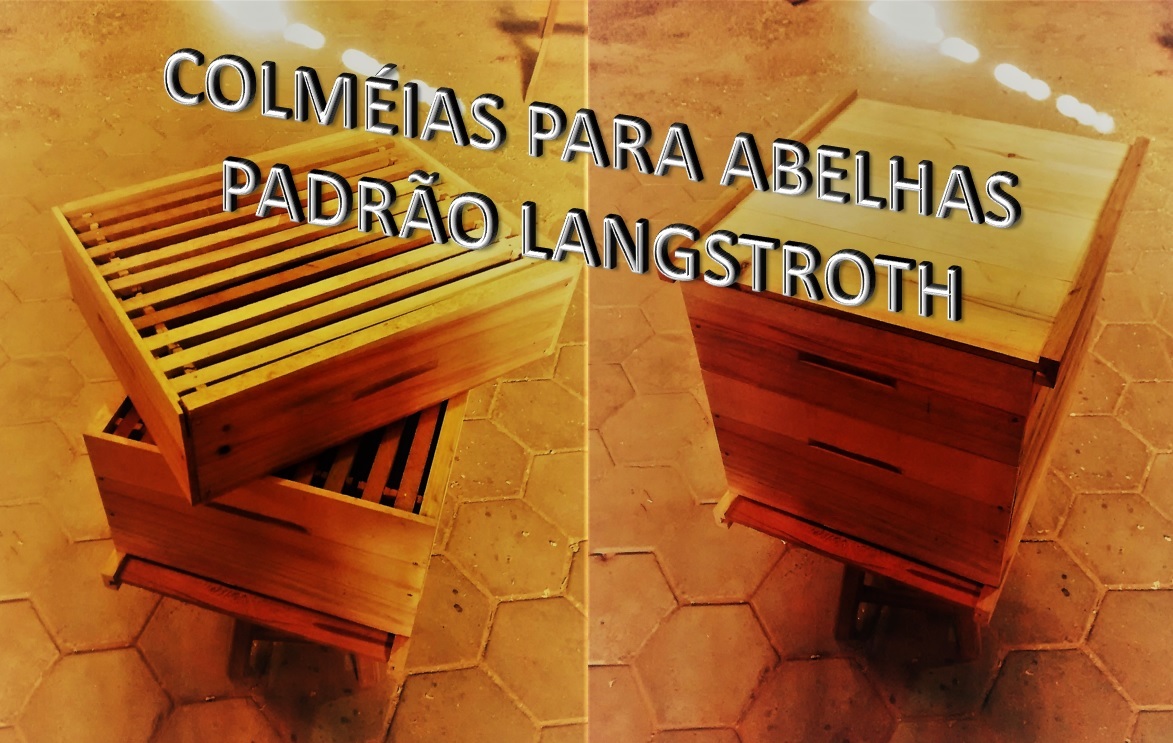 COLMEIAS LANGSTROTH.jpg