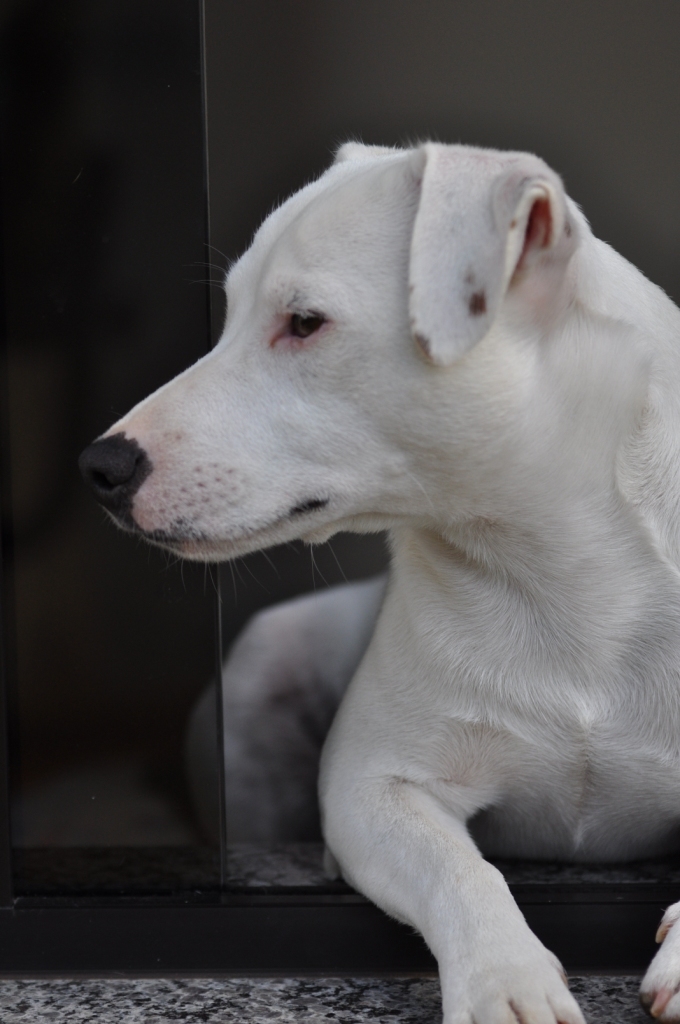 Scanner 5 - DSC_0502 (site).jpg