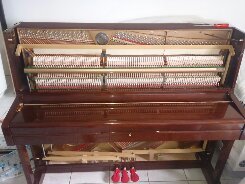 Momeu 201013 234.jpg