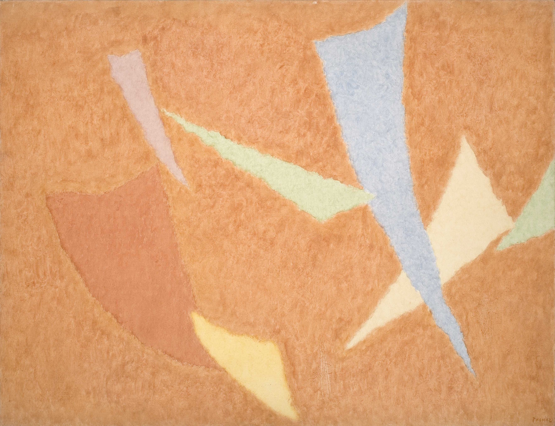 Thomaz Ianelli 115x150.jpg