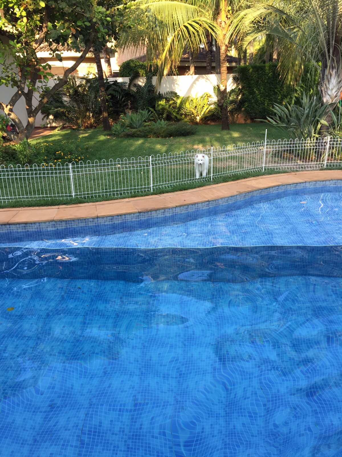 CelularBruno-26.10.15 1088.jpg