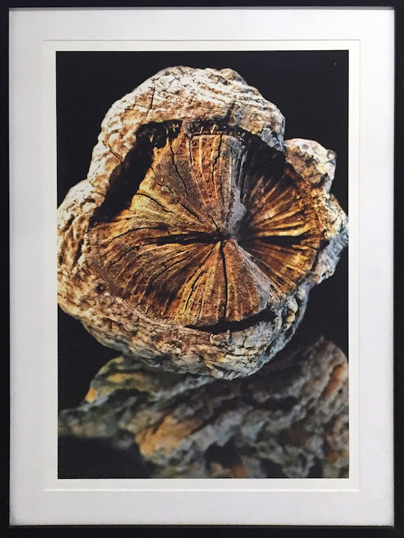 Claude Mollard Fotografia 2009 101x75 França.jpg