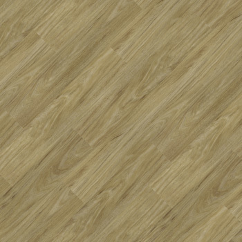 24037660 - Âmbar.jpg