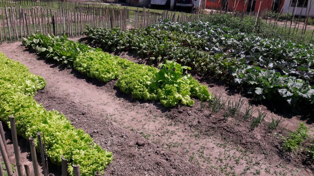 Clinica de recuperação de dependente químico em Pindamonhangaba