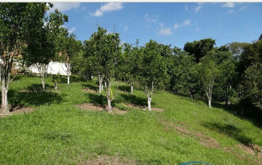 Clinica de Recuperação para menores em São Roque