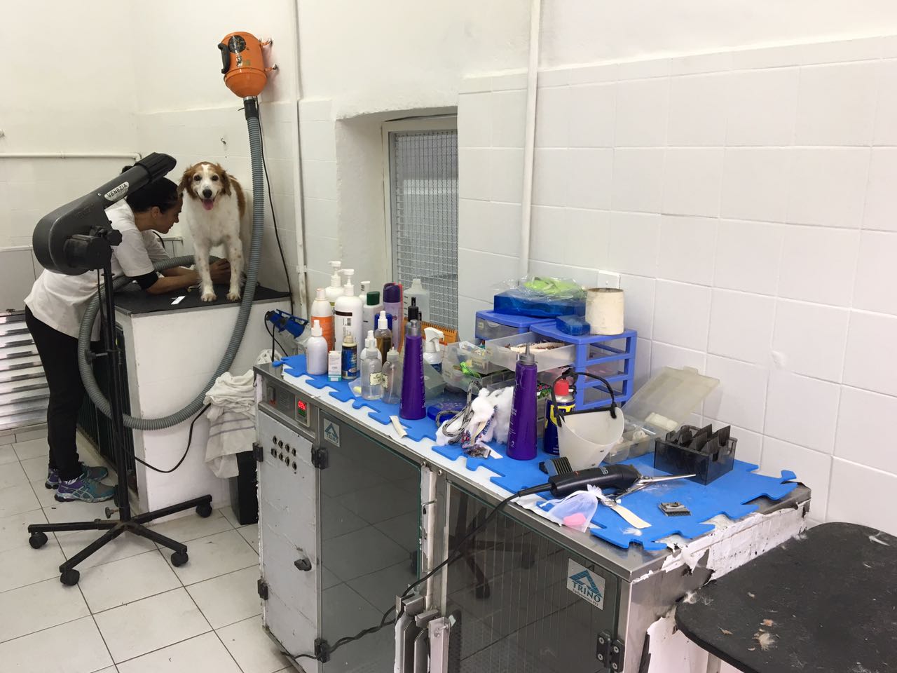 WhatsApp Image 2017-07-17 at 11.09.54.jpeg