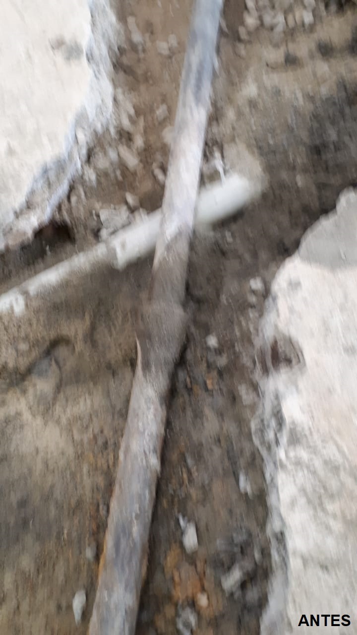 WhatsApp Image 2018-05-16 at 17.55.34.jpeg