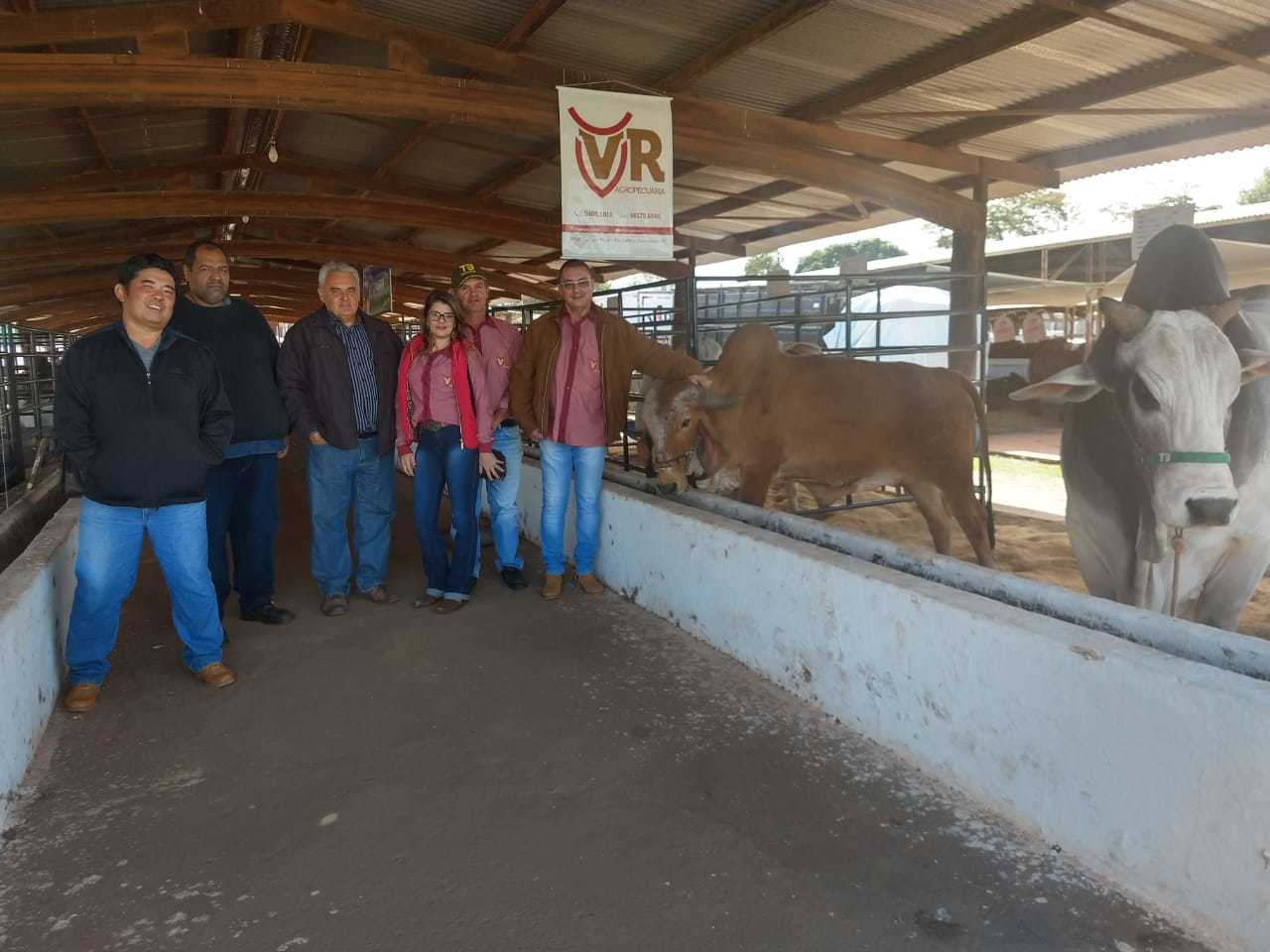 WhatsApp Image 2018-07-20 at 15.32.50.jpeg