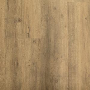 Strata - 203 K171912 Renard.jpg