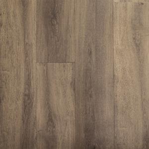 Strata - 201 K109301 Castor.jpg