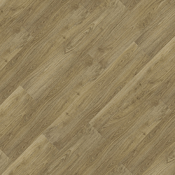 Essence Liso - 9346659 Amapá.jpg