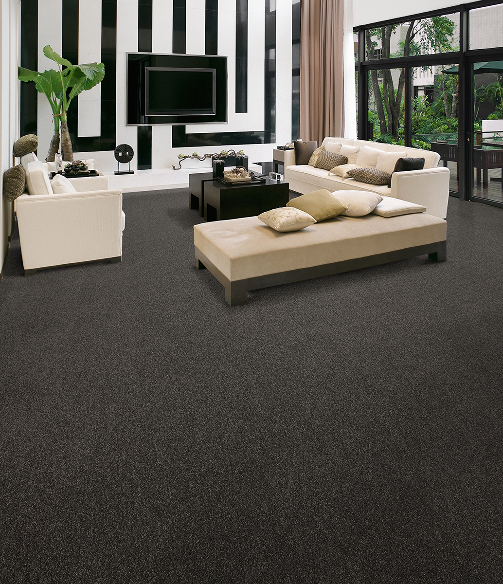 0 imagem principal 2.jpg