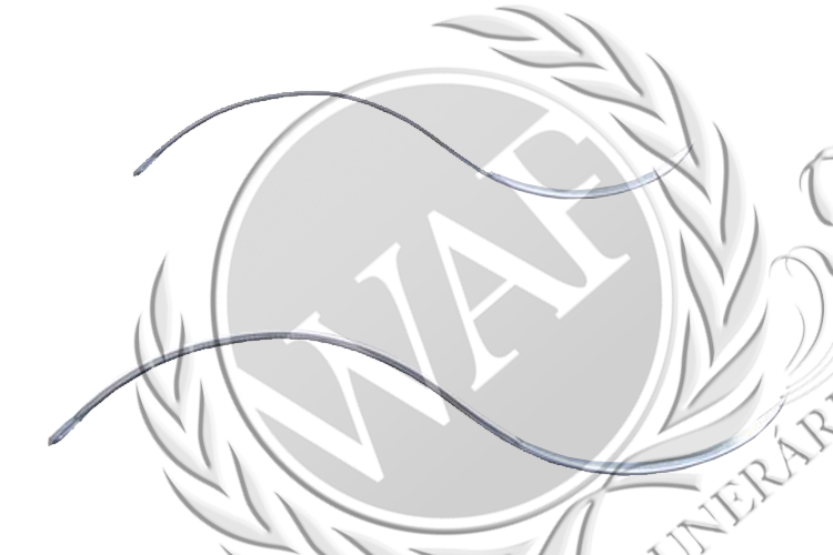 Agulha em S Marca.png