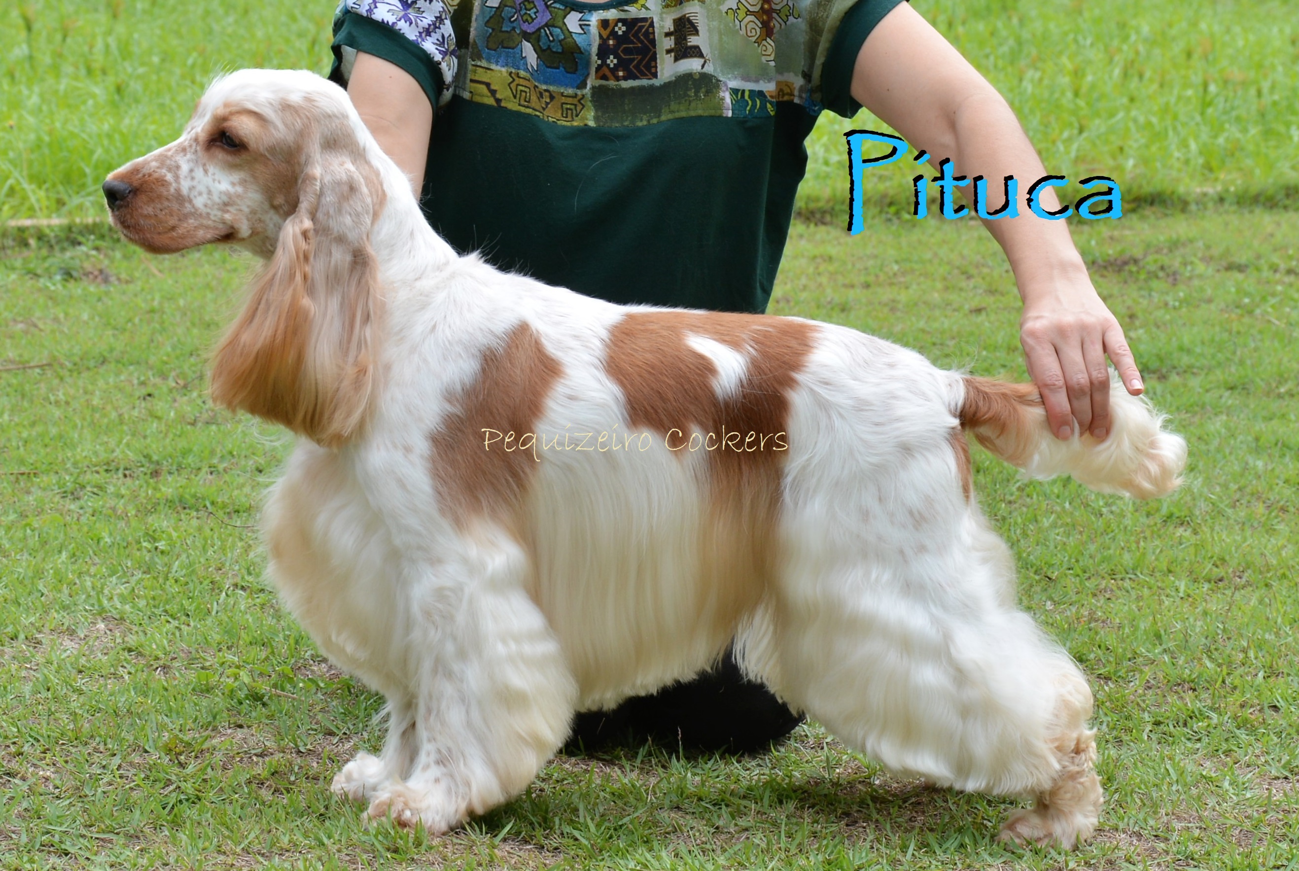 pituca md nome.jpg
