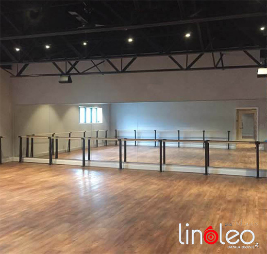 linoleo, linóleo, nulticena, linoleeco, barra ballet