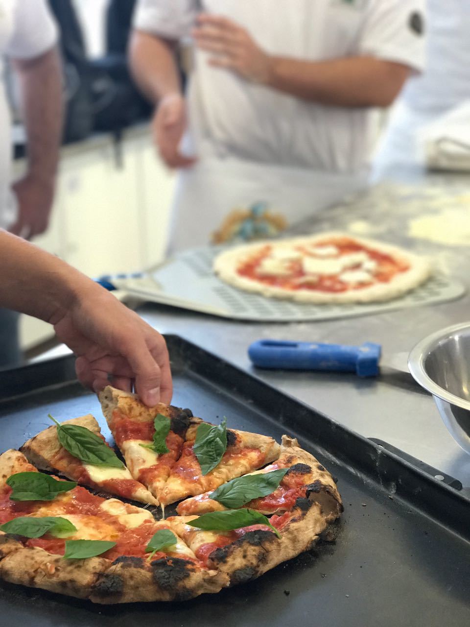 WhatsApp Image 2017-08-29 at 19.00.06.jpeg