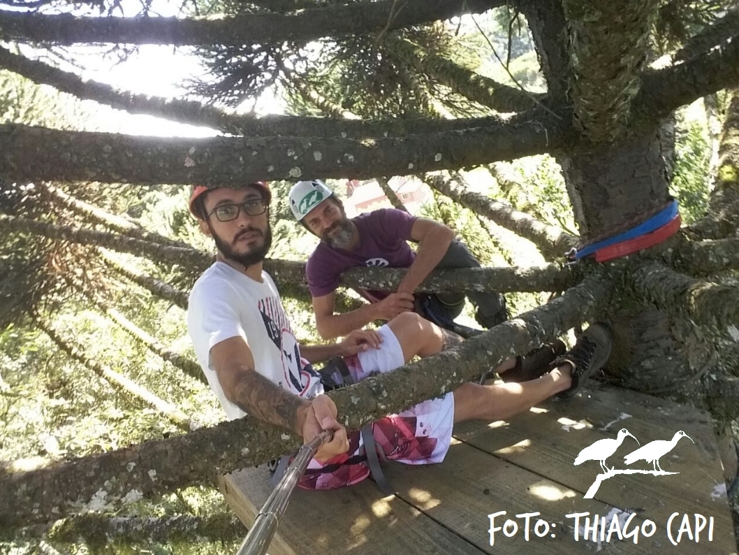 escalada_ninho_curucaca_02_ThiagoCapi_tratada.jpg