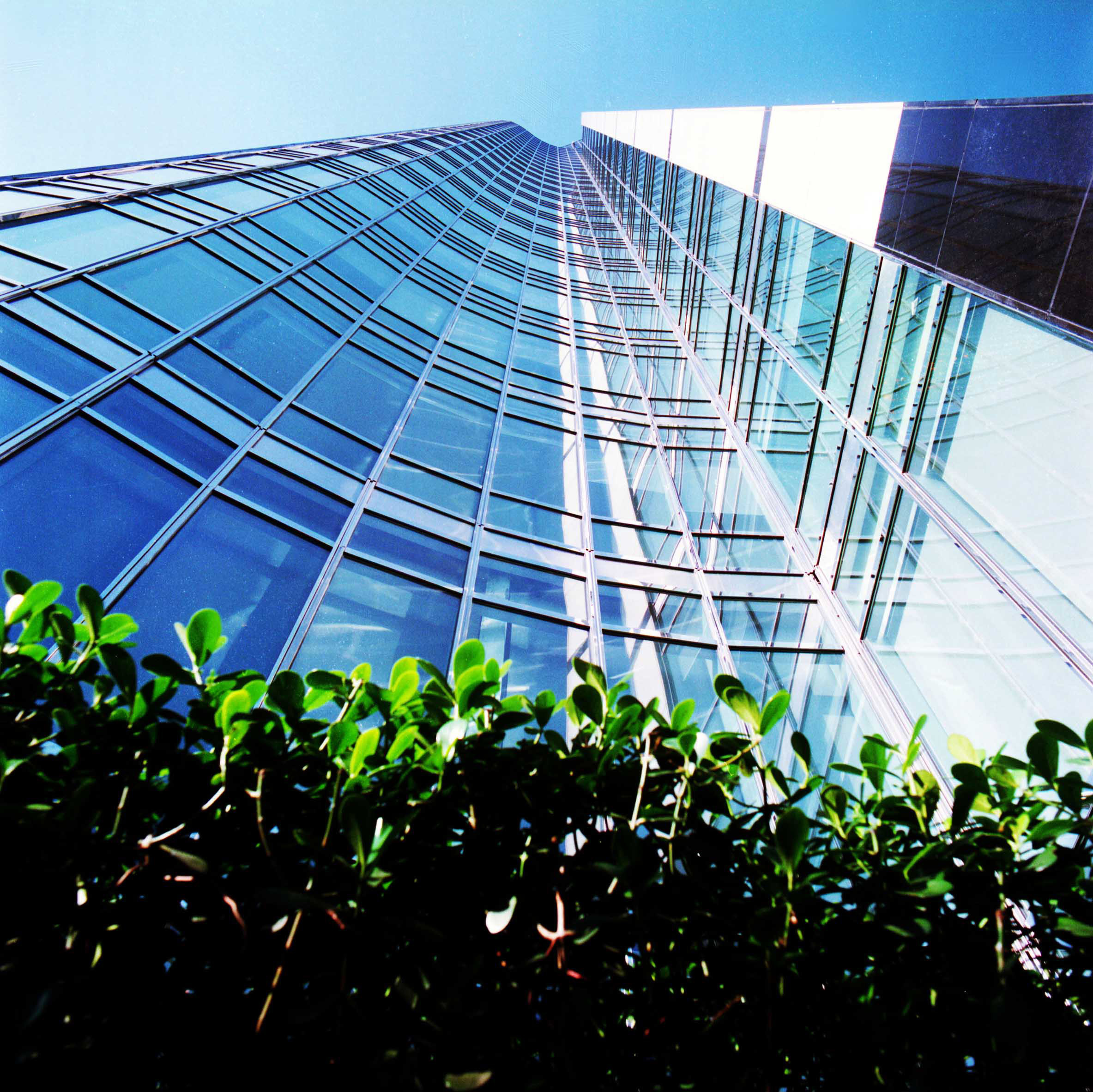 Bank of Boston 20.jpg