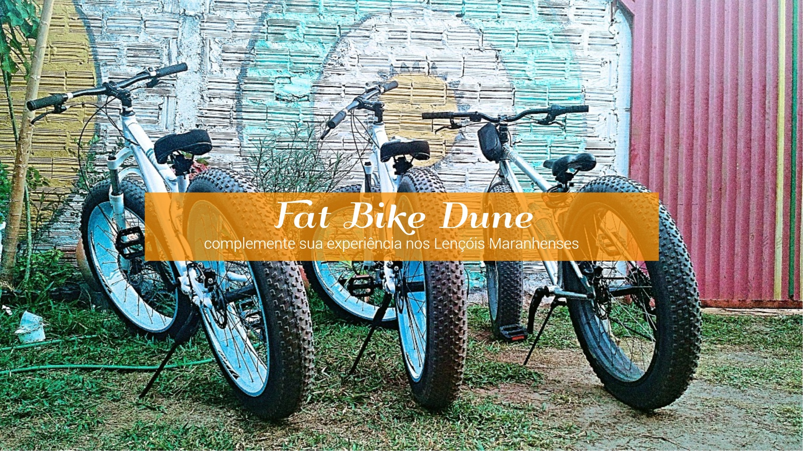 Fat Bike 