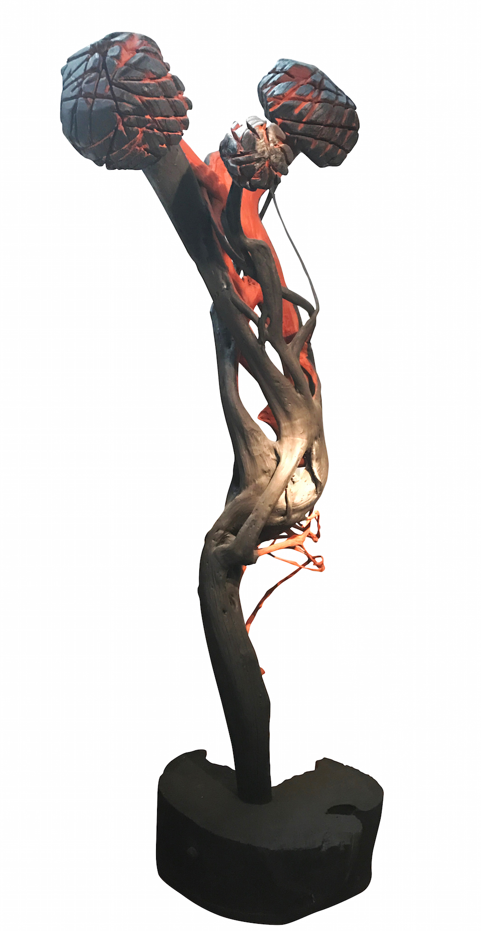 Frans Krajcberg Escultura em madeira 305x120x85.jpg