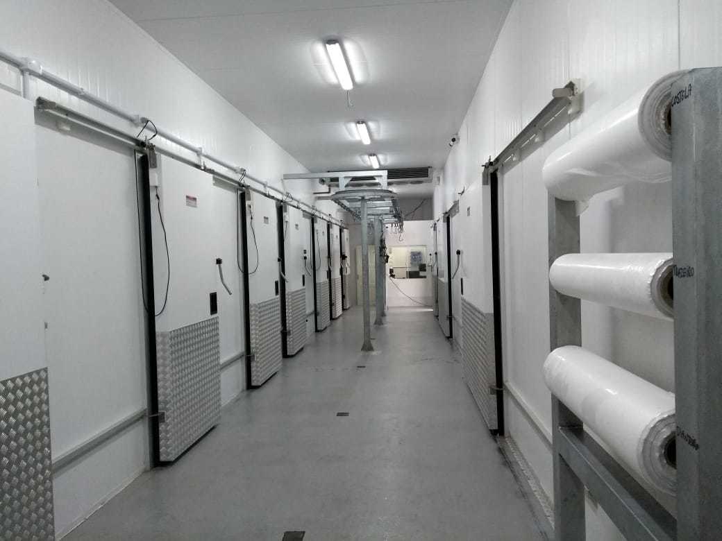 WhatsApp Image 2018-07-04 at 09.46.58.jpeg