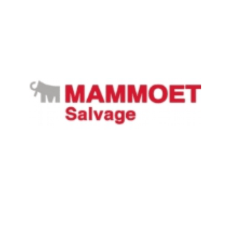 MAMMOET.gif