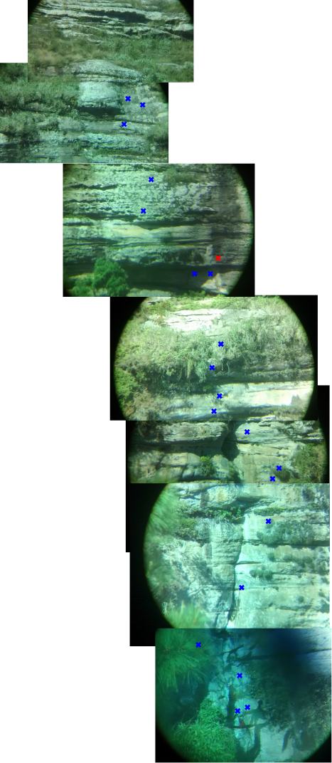 La Belle Verte_7 Xa A2 E2 60m - P2 acima.jpg