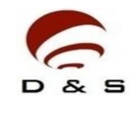 LOGO DS.jpg