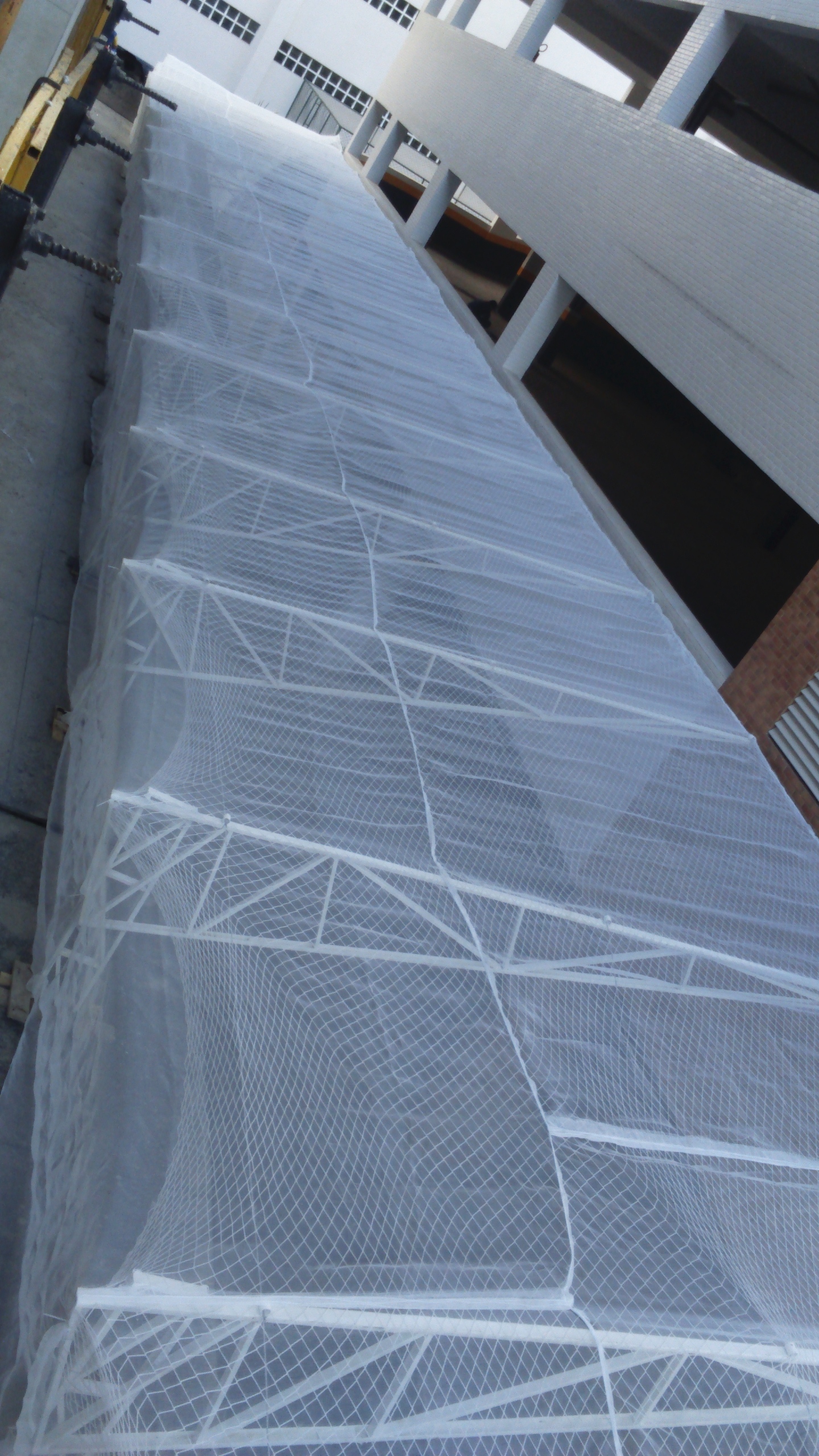 proteção vizinho - corredor.jpg