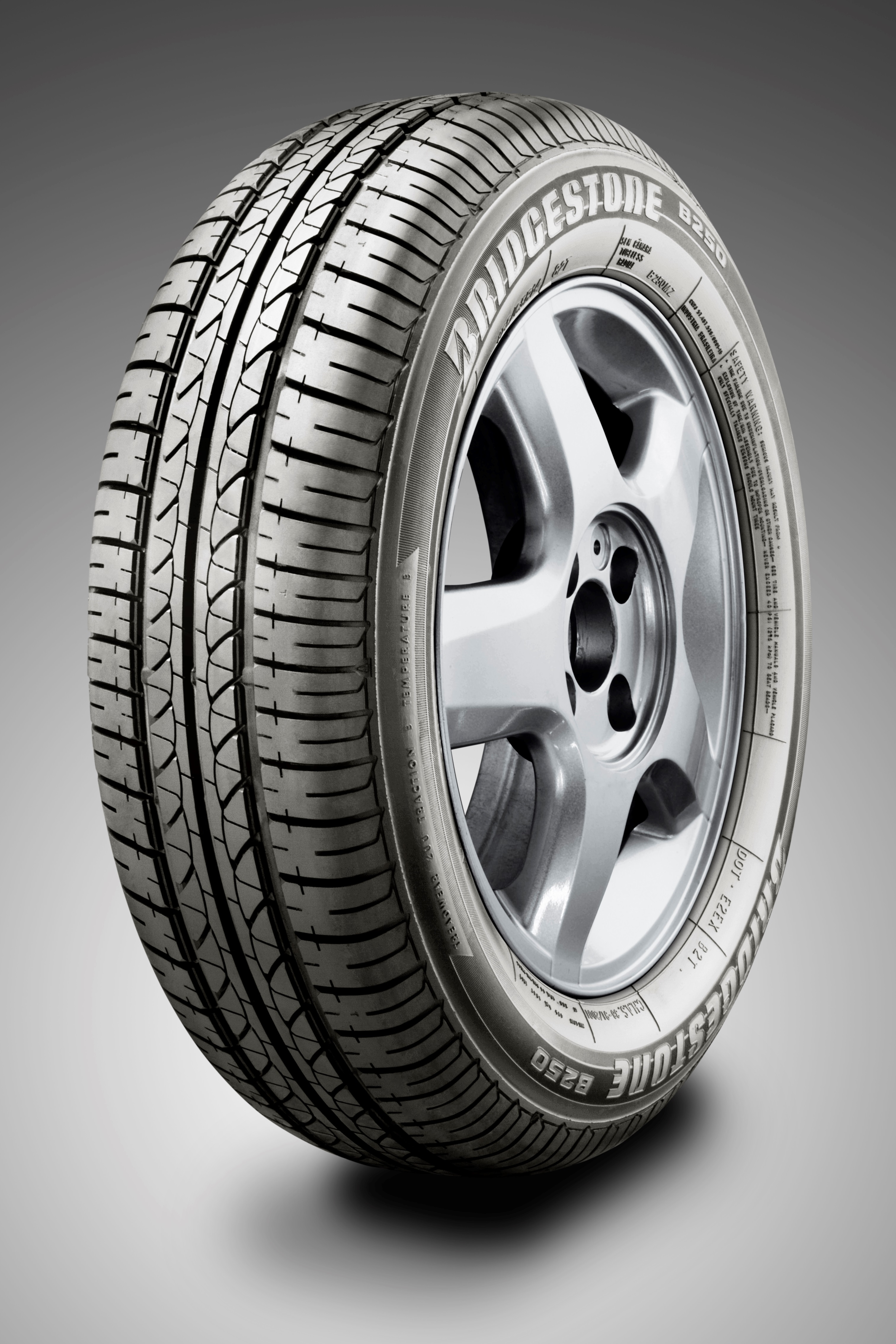 BRIDGESTONE B-250