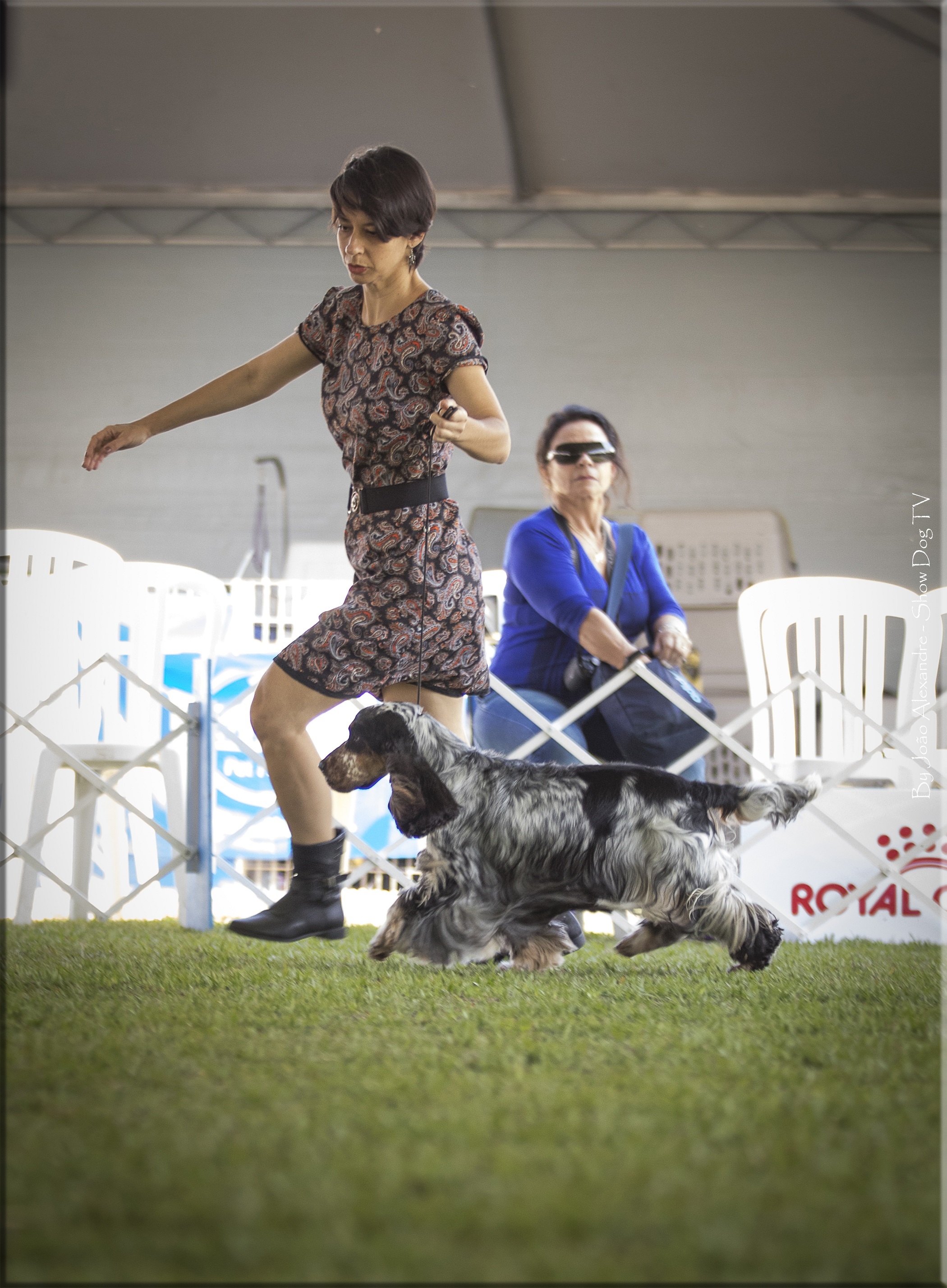 IMG_5078 copiarb.jpg