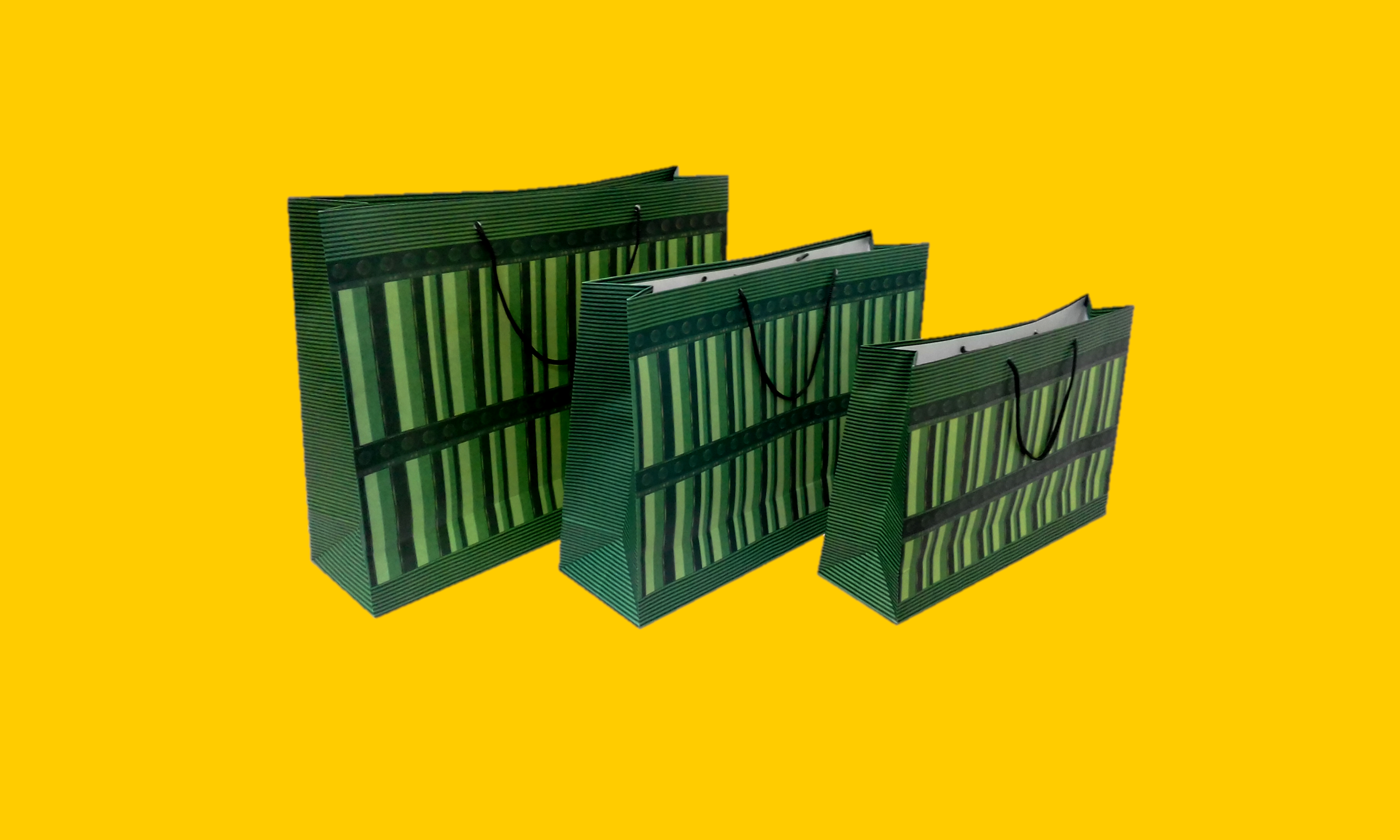 Bolsa Horizontal Decorada GW 4606 Verde.png