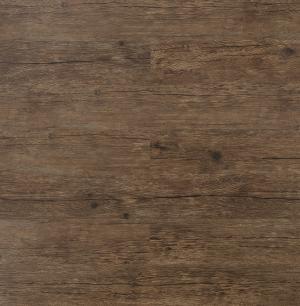 Rocky - 301 KW1404 Caravaggio.jpg