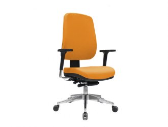 one presidente 1.jpg