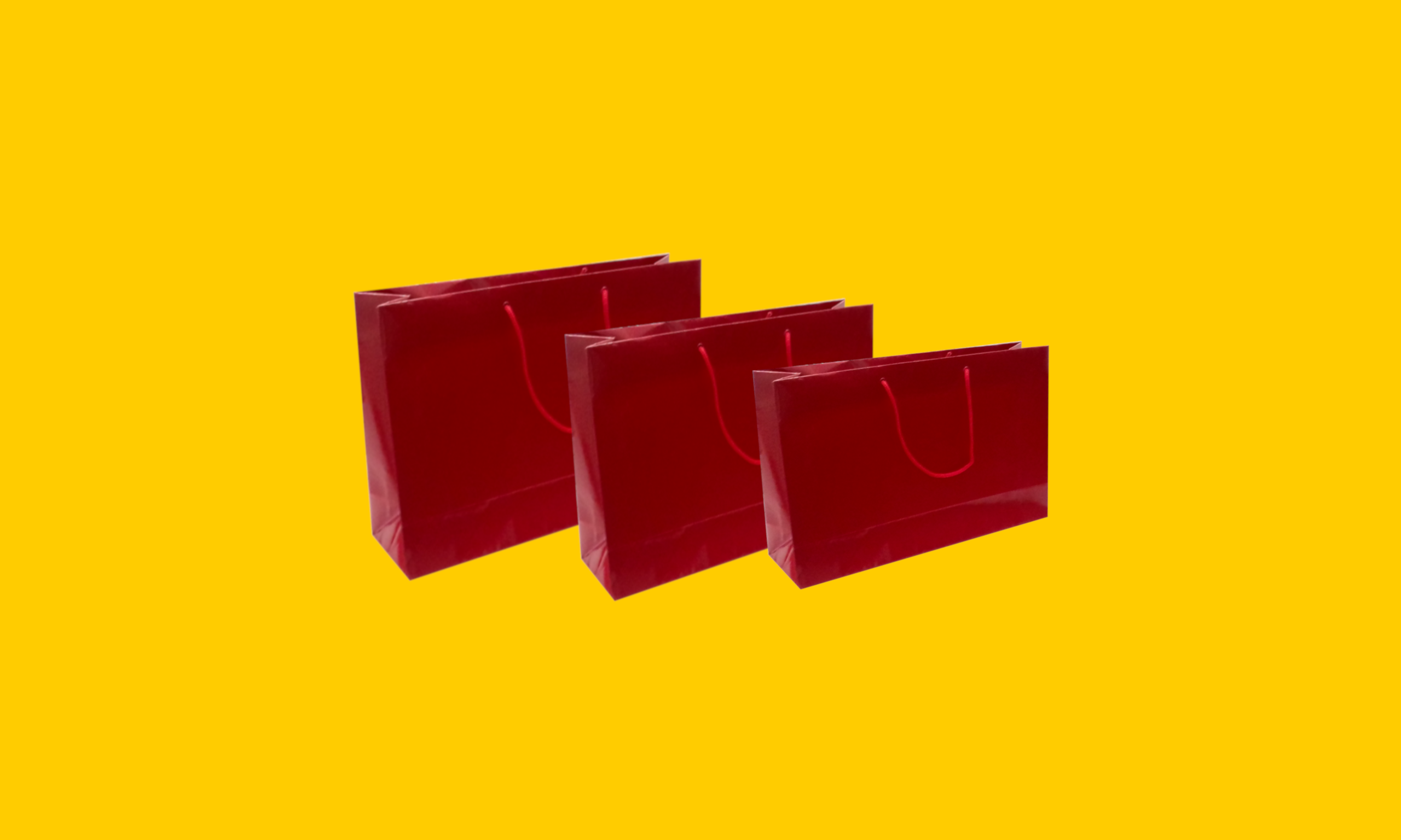 Bolsa Horizontal Plastificada Vermelha (Pequena, Média e Grande).png