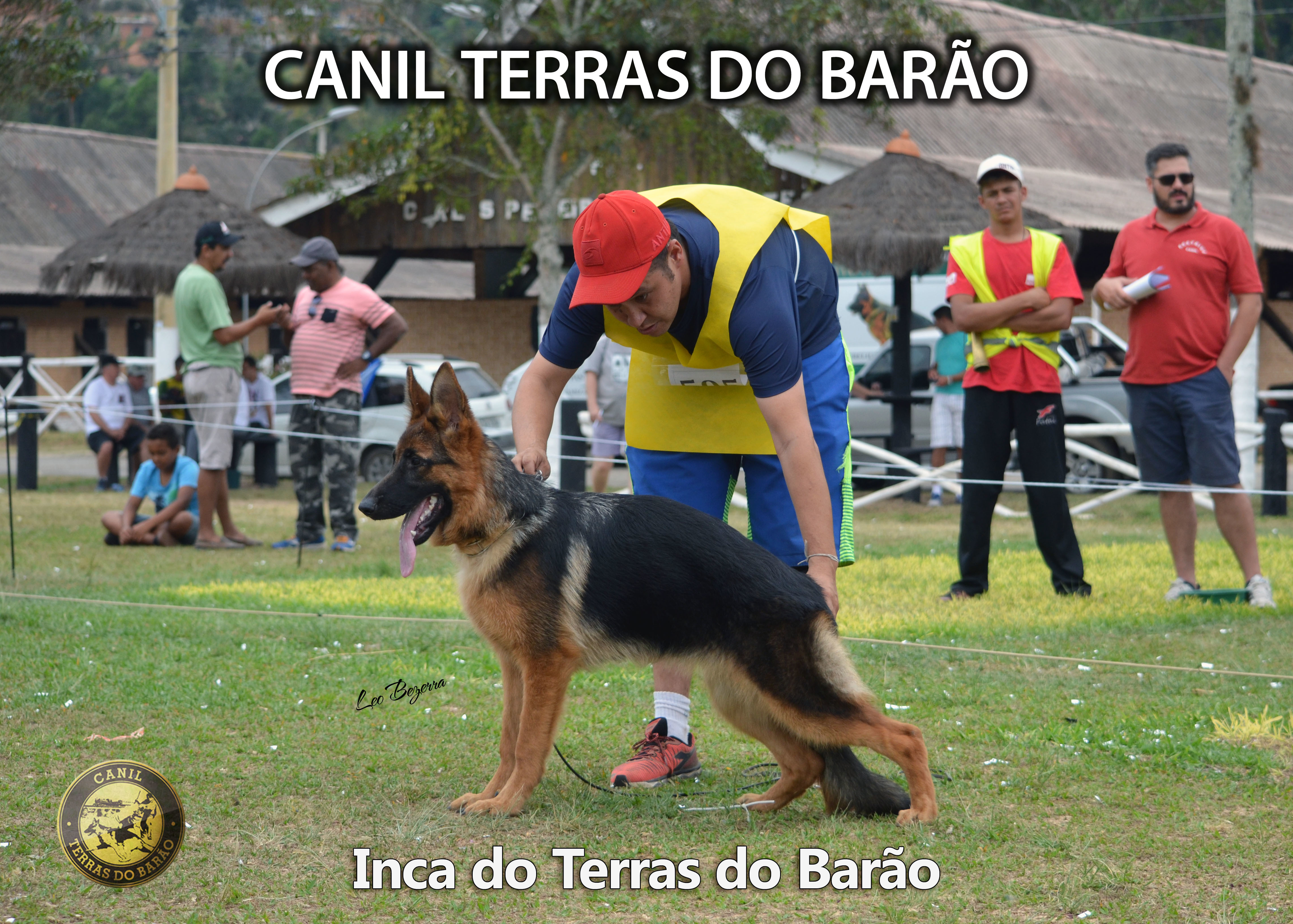 Inca Sudeste CBPA 2017.jpg